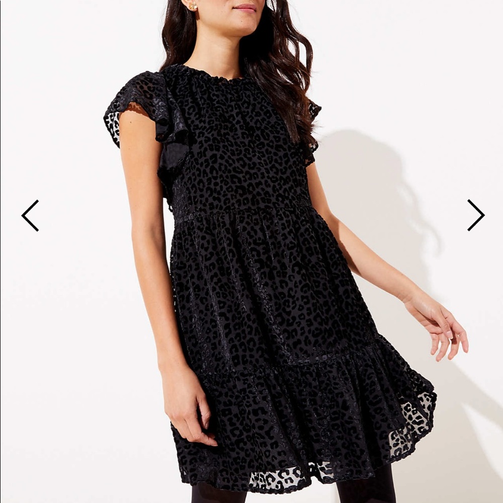 Leopard Print Velvet Swing Dress